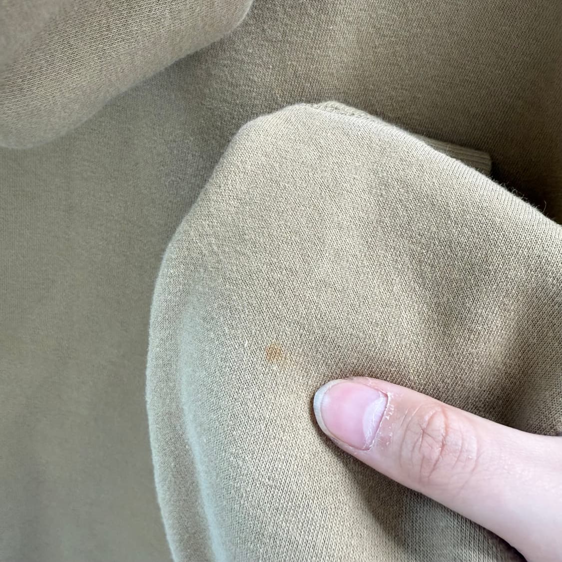 [S] 챔피온 베이지 후드집업 상품이미지7