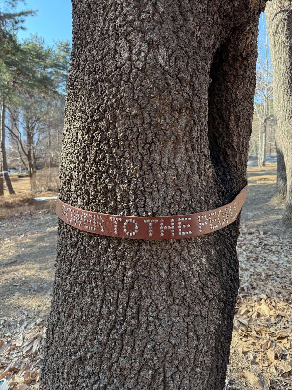 Junya watanabe 02ss 스터드 벨트 상품이미지1