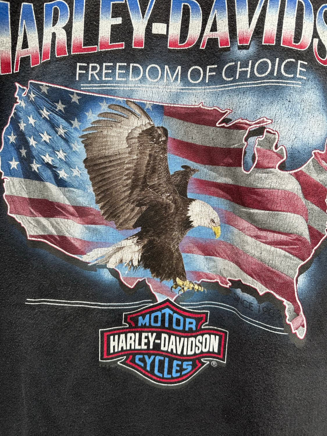 [할리데이비슨] •00s Vintage T-Shirt 상품이미지3
