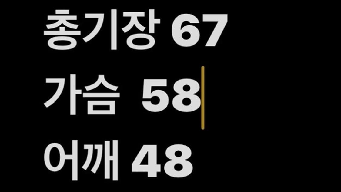 노스페이스 화이트라벨 닐턴 자켓 바람막이 상품이미지4