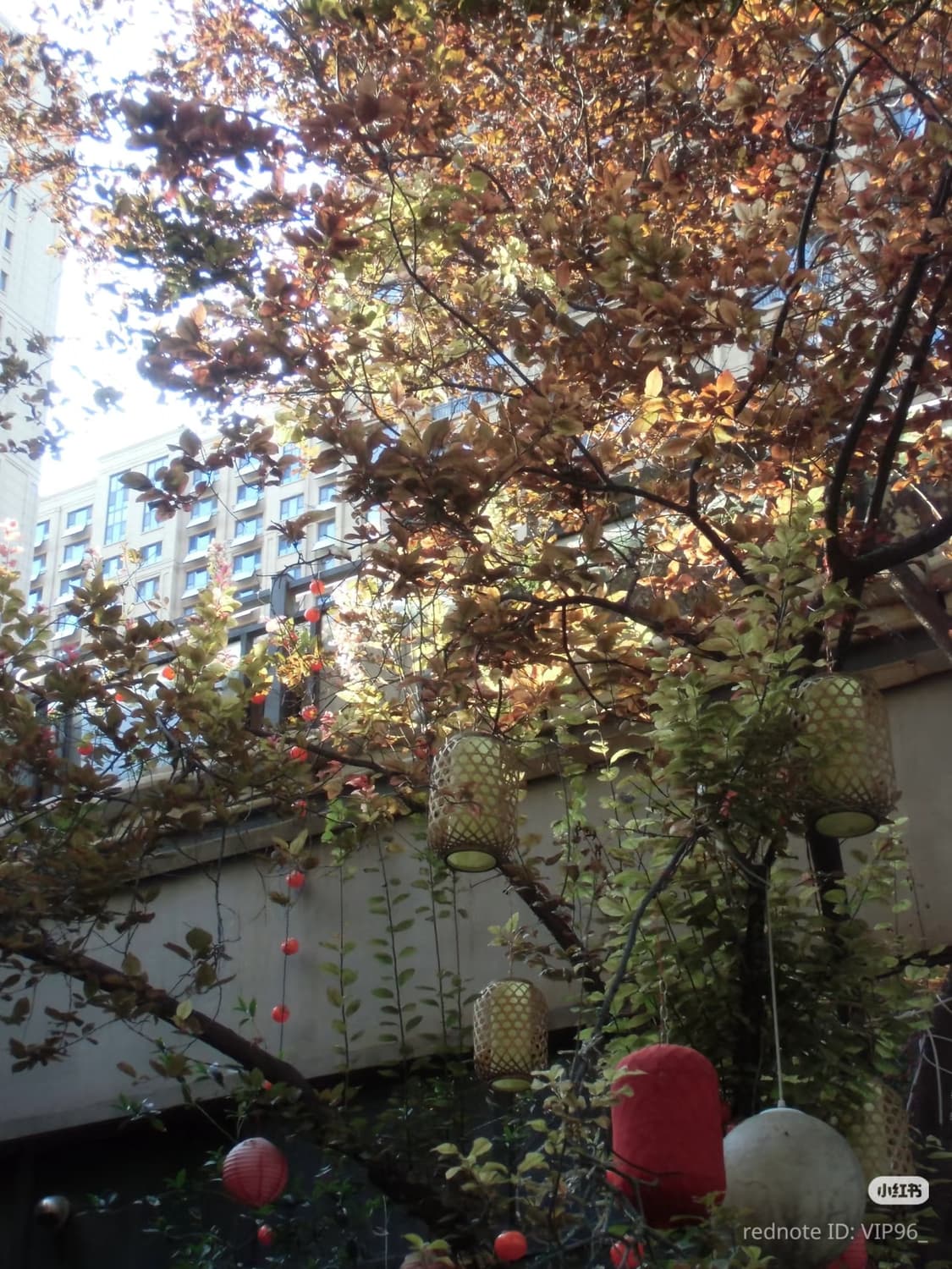 (입문용 1등) 카시오 EX-ZS150 골드 (Casio EX-ZS150 상품이미지7