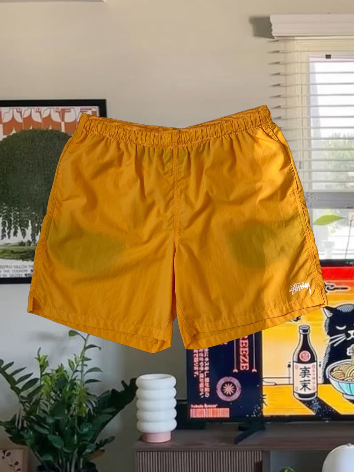  스투시 쇼츠 (32) AB1331 상품이미지1