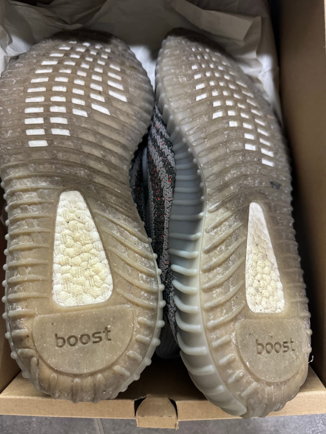 이지부스트 벨루가 상품이미지5