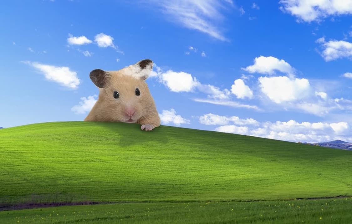 결제창 상품이미지1