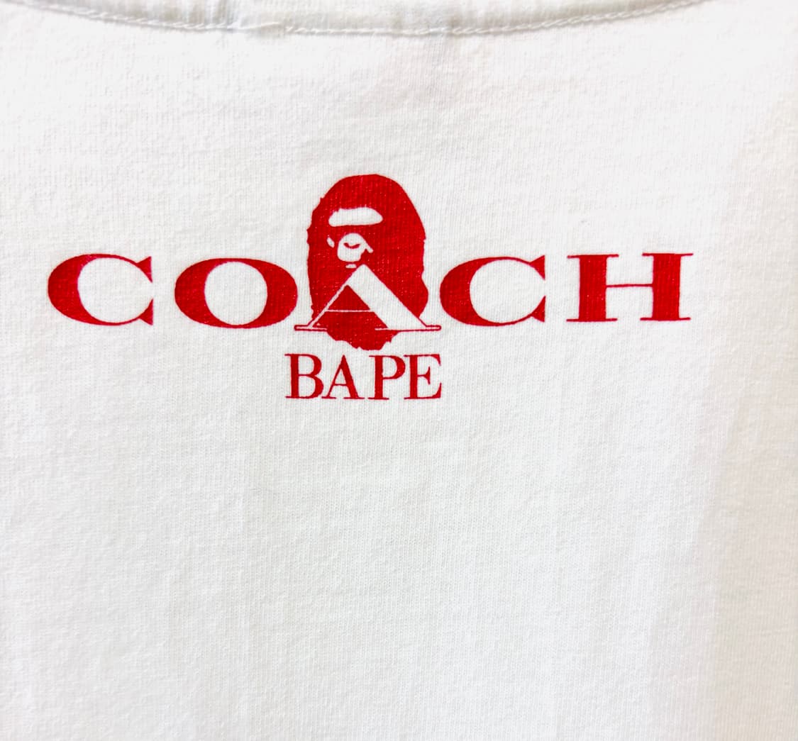 20ss BAPE X COACH 멀티 컬러 마일로 티셔츠 L 상품이미지6