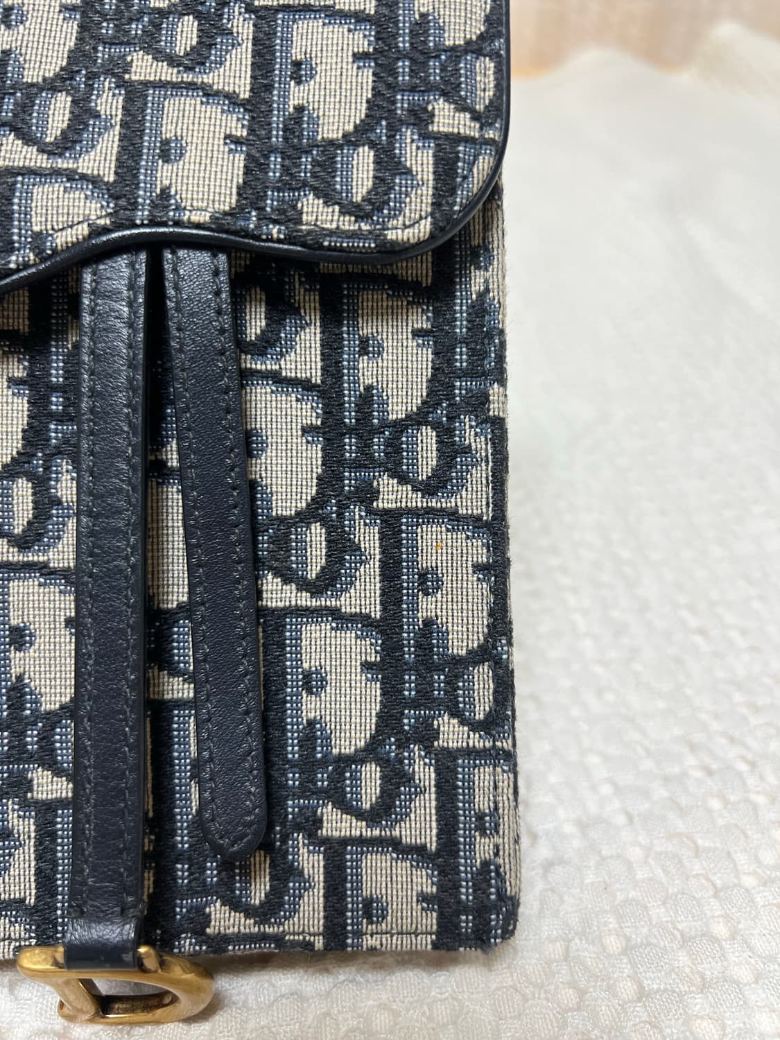 디올 오블리크 새들 버티컬백 상품이미지8