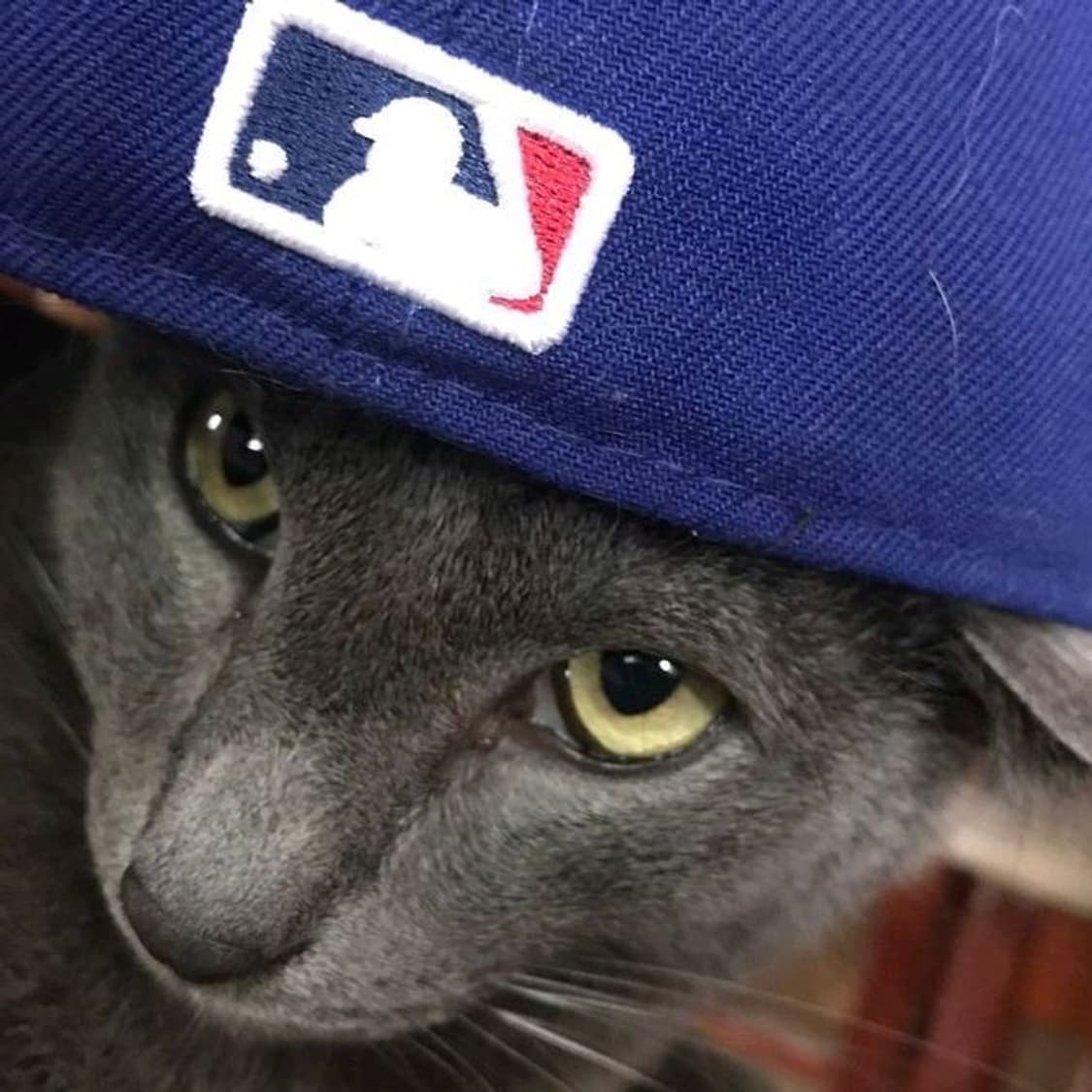 Polo Ralph Lauren 상품이미지1