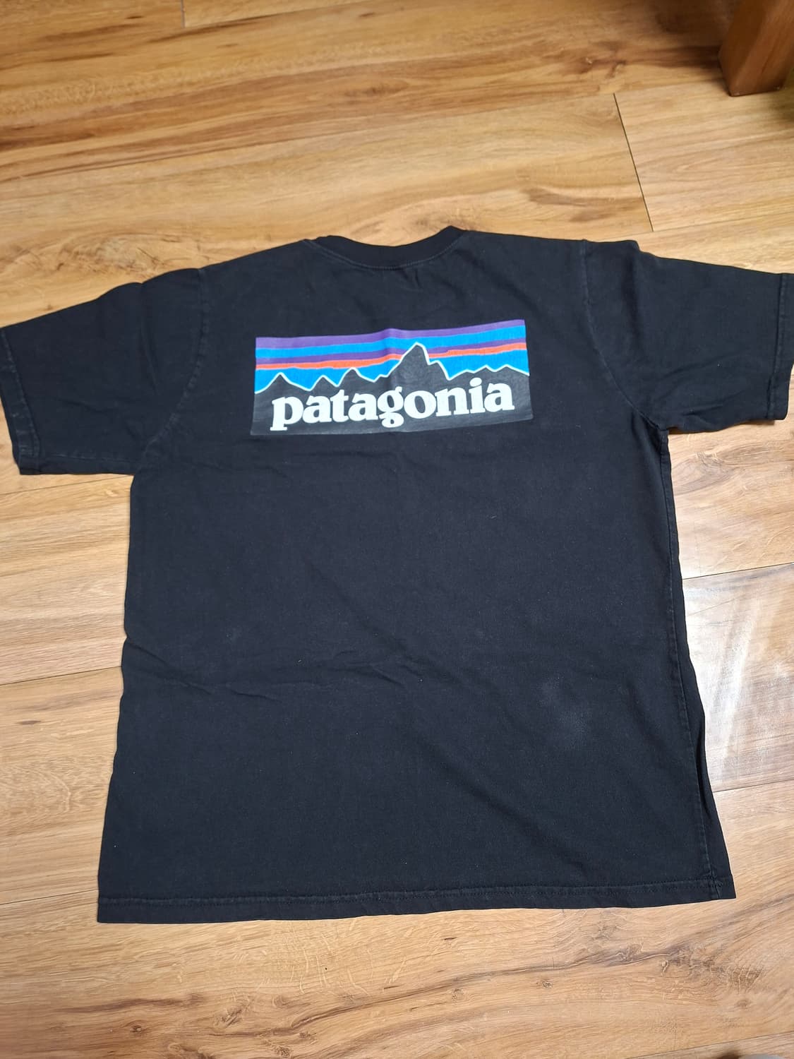 파타고니아 반팔티 상품이미지1