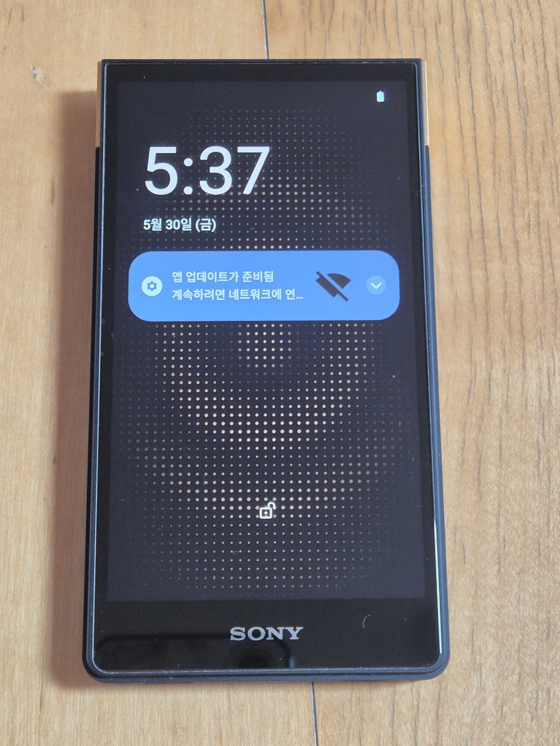 소니 워크맨 ZX-707 DAP zx707 상품이미지2