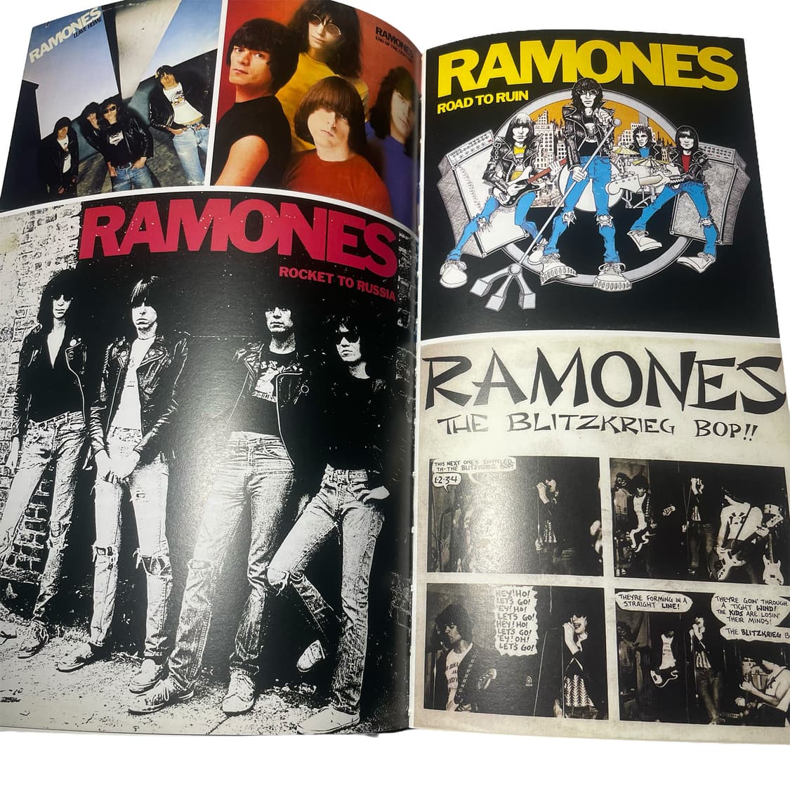 Punk Vinyls Art book - 펑크 록의 역사 상품이미지2