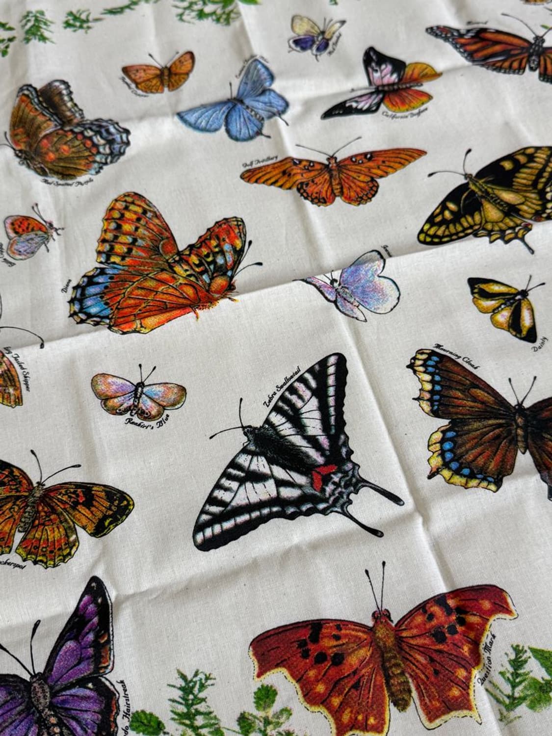 BUTTERFLIES BANDANA 나비 반다나 상품이미지2