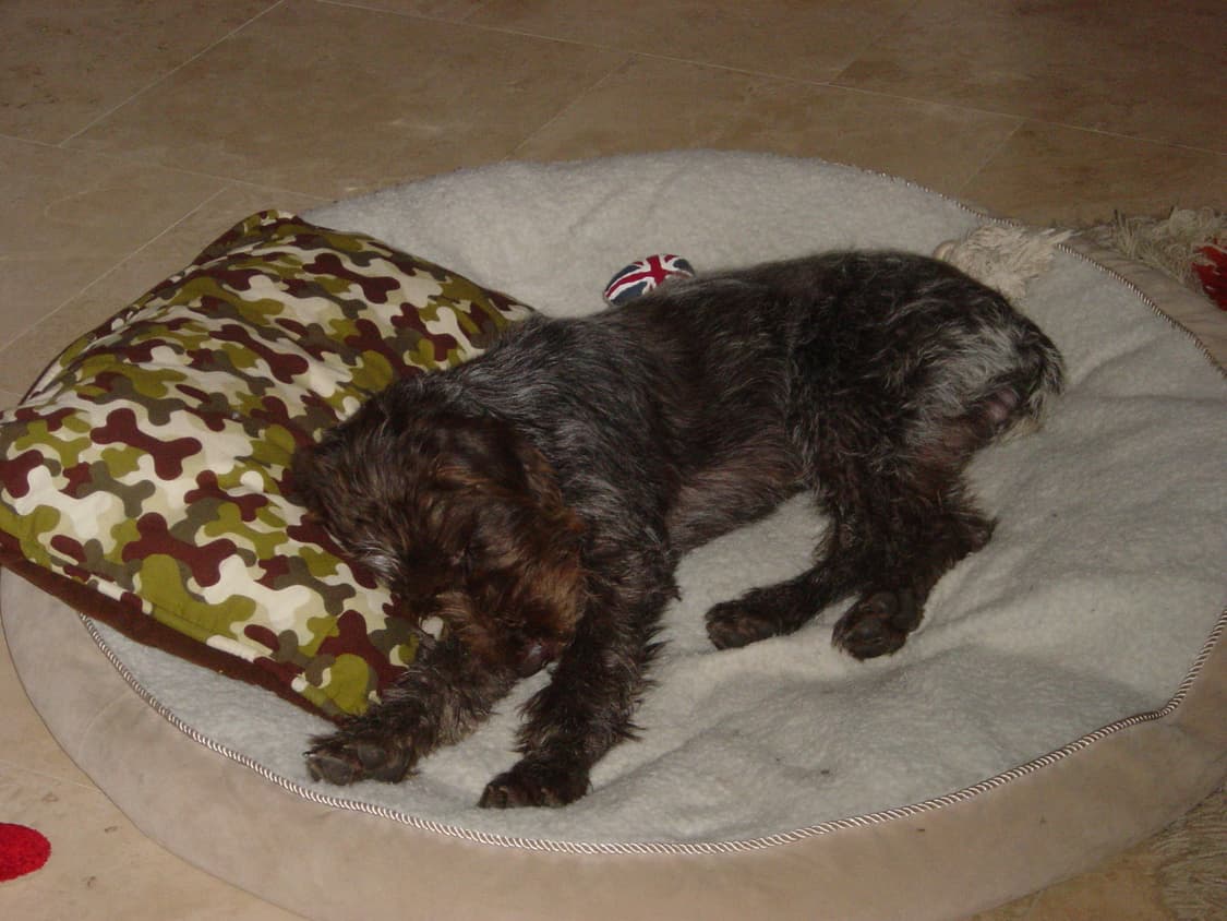 소니 사이버샷 S85 빈티지 디지털카메라 상품이미지7