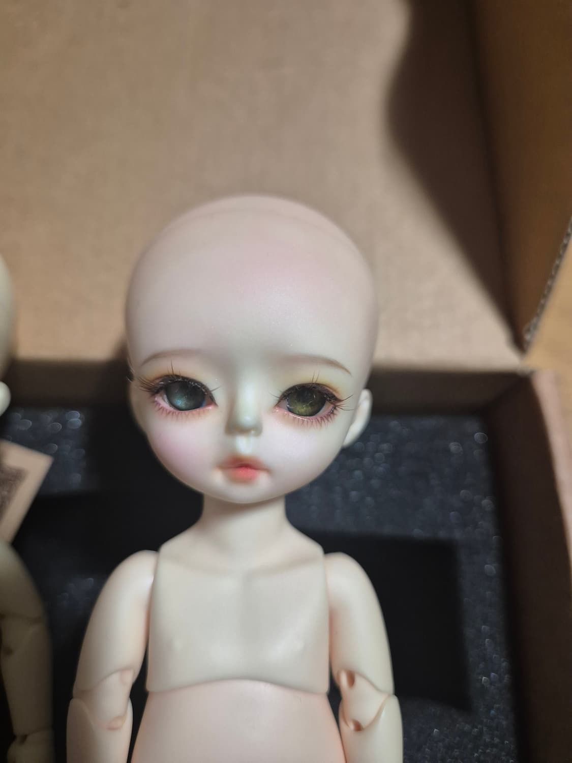 위드돌 포켓 BWD 사이즈 구체관절 구관 인형 상품이미지5