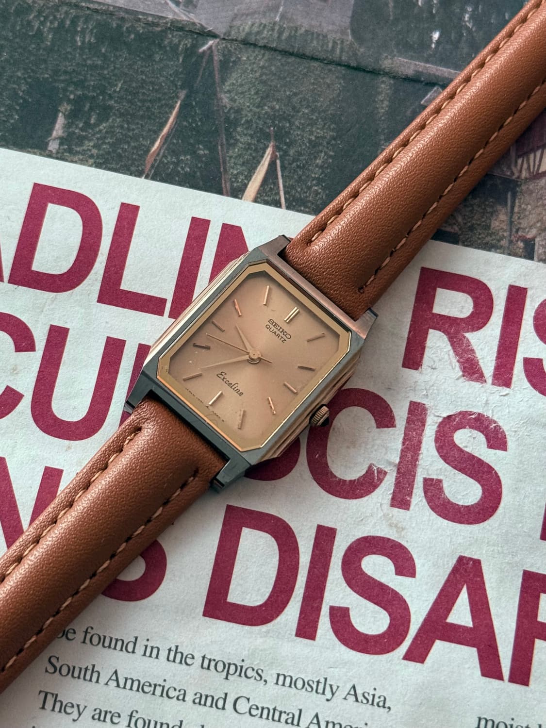 세이코 Seiko 쿼츠 스퀘어 브라운 레이디스 상품이미지1