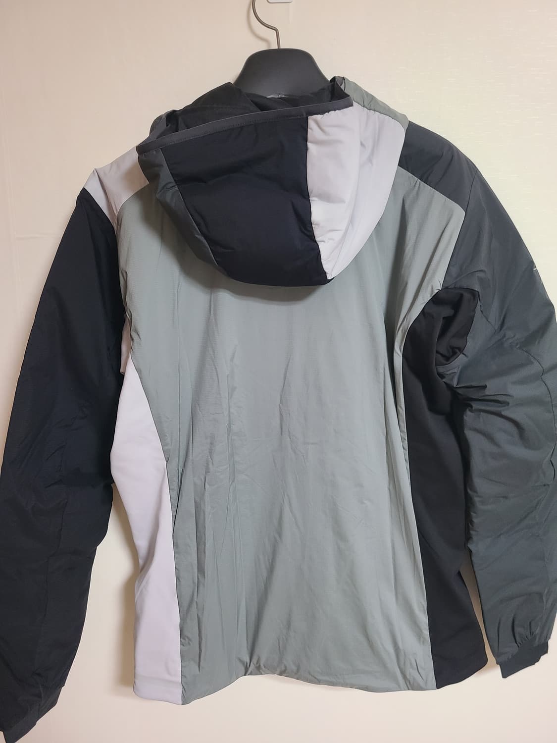 아크테릭스 빔즈 아톰 후디 상품이미지2