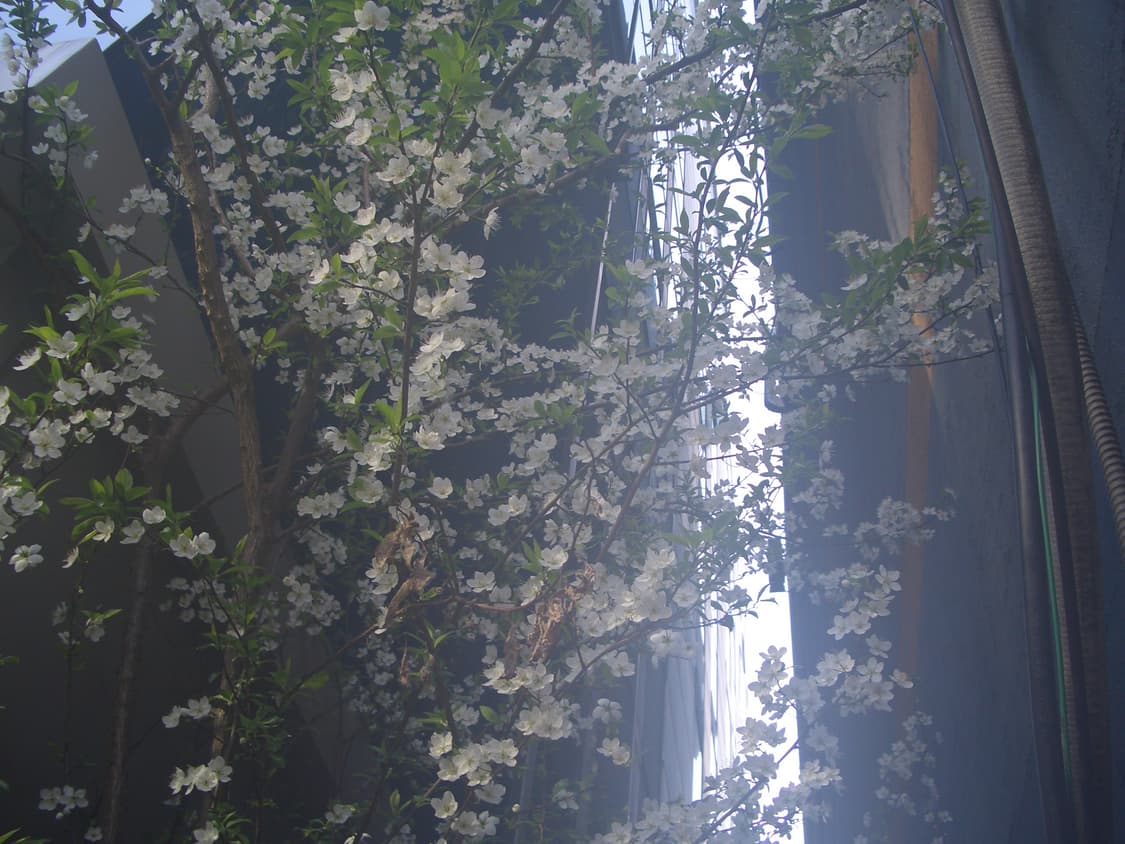 찐빈티지!) 카시오 엑슬림 EX-Z57 디카 빈티지 캠코더 /캐논 상품이미지7