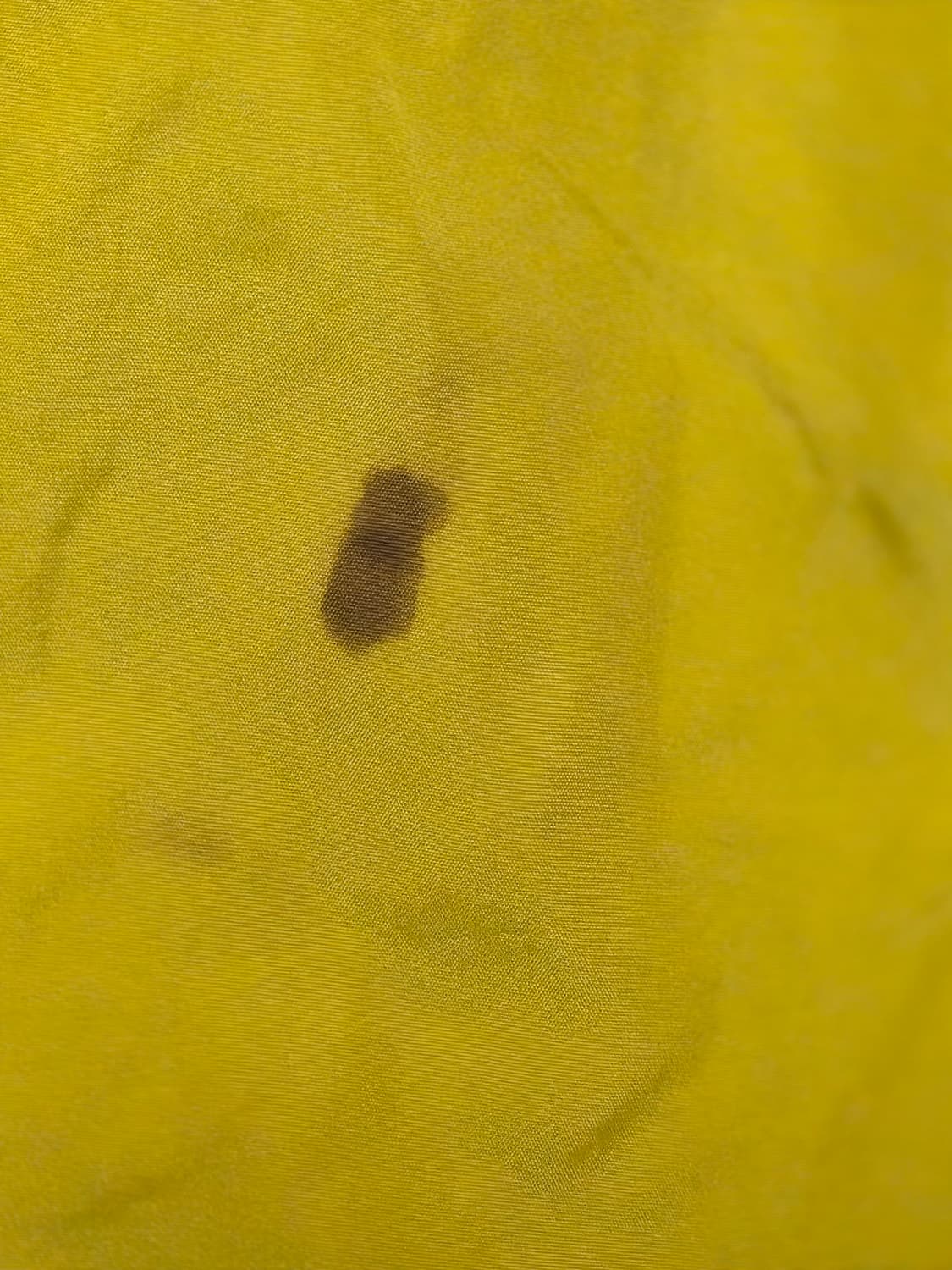 C.P. Company 옐로우  반바지 m 상품이미지4