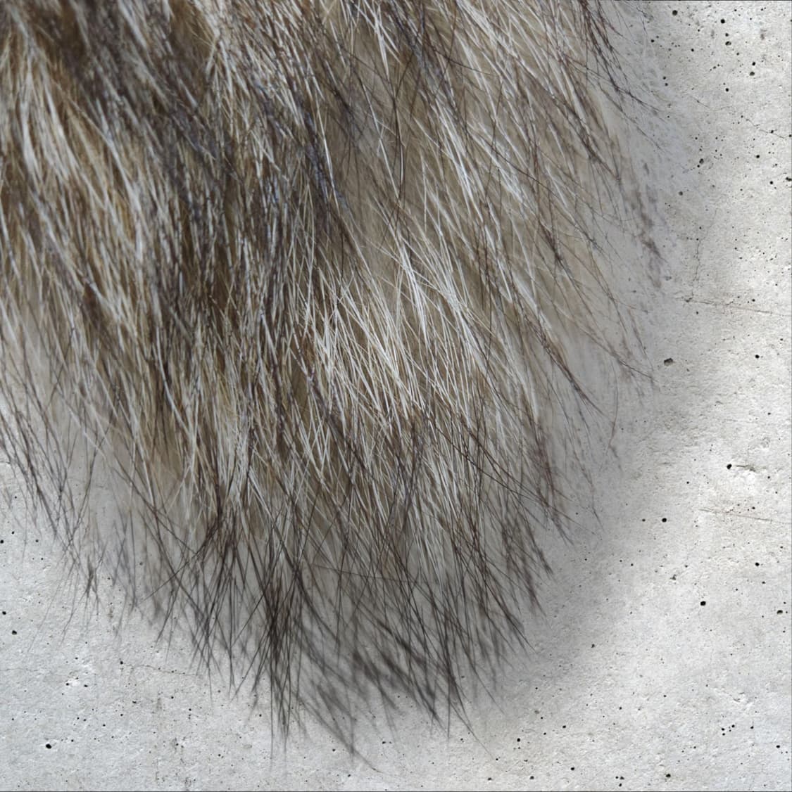 리얼 폭스 목도리 (FREE) 상품이미지2