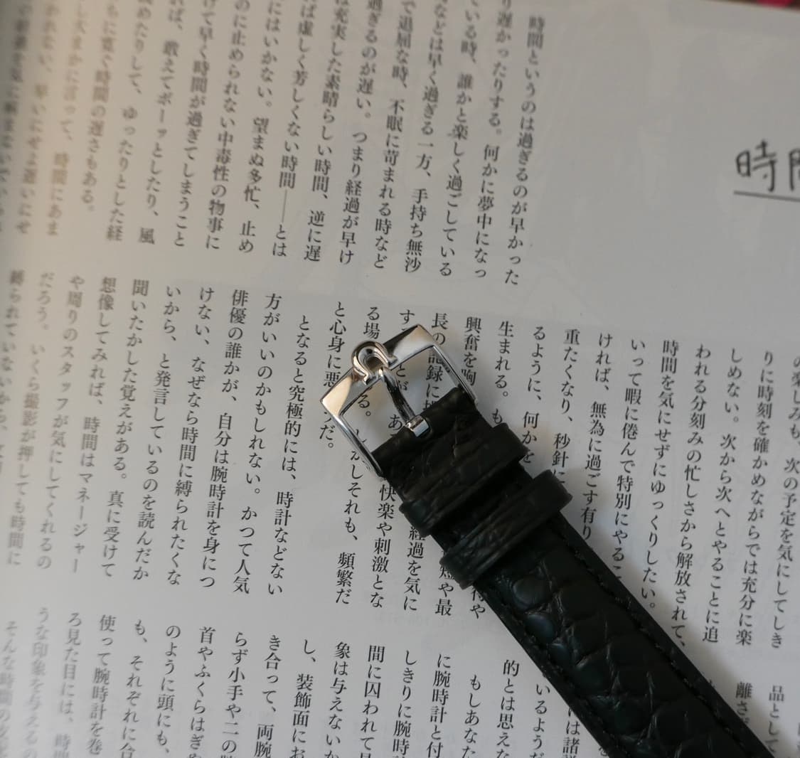 오메가 빈티지 컨스틸레이션 파이판 Shark Tooth 상품이미지5