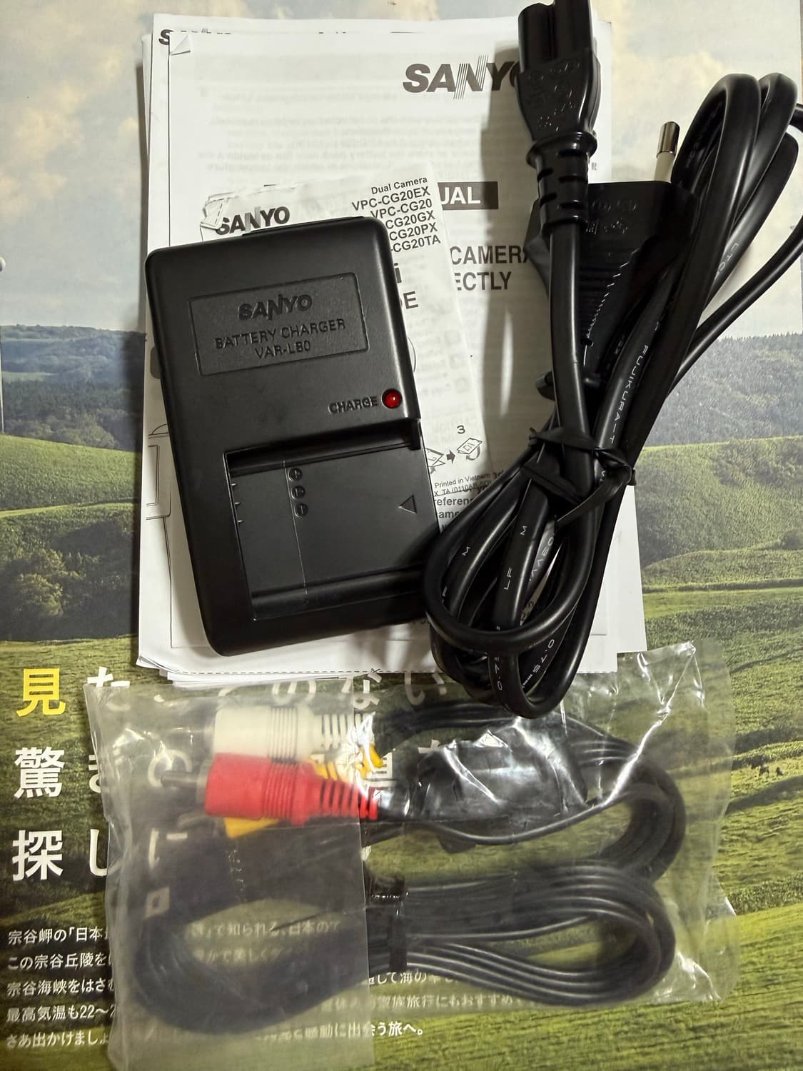 산요 Sanyo cacti CG20 pink  상품이미지6