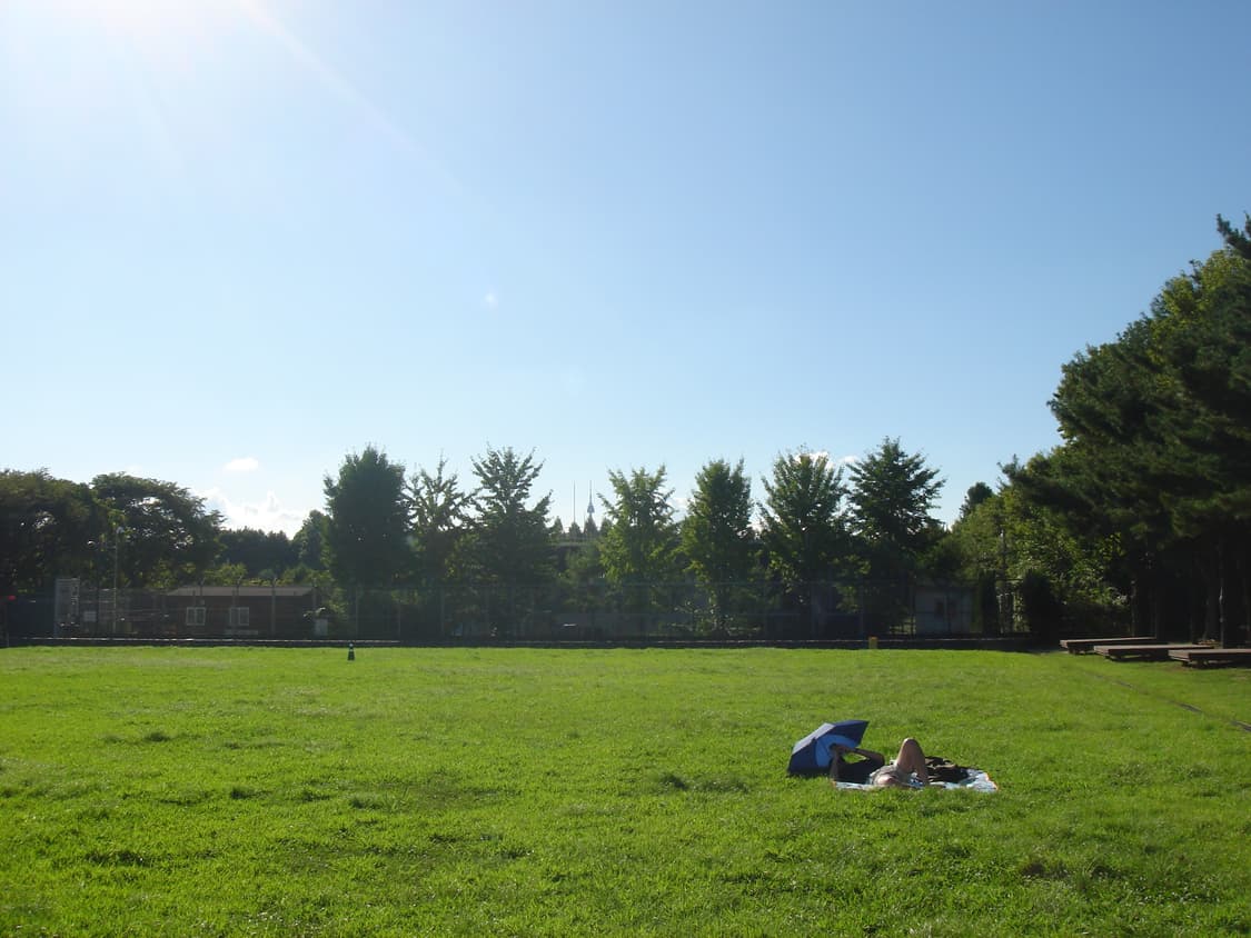 sony cybershot 소니 사이버샷 dsc t5 실버 상품이미지5