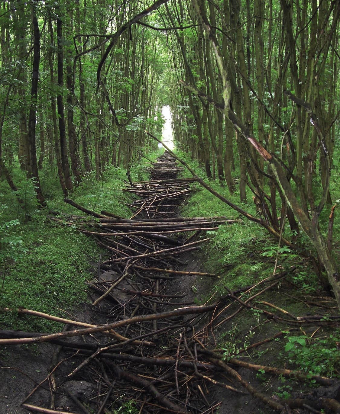 📸 카시오 EXILIM Z1200 빈티지 디지털카메라 판매 상품이미지4