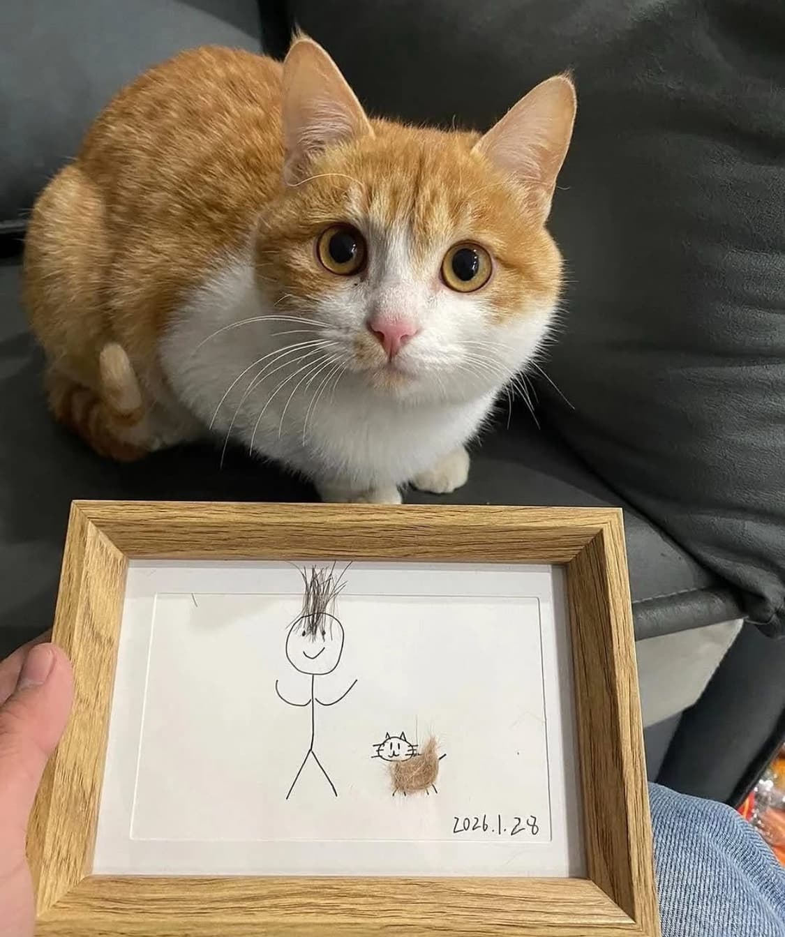 60” 상품이미지1