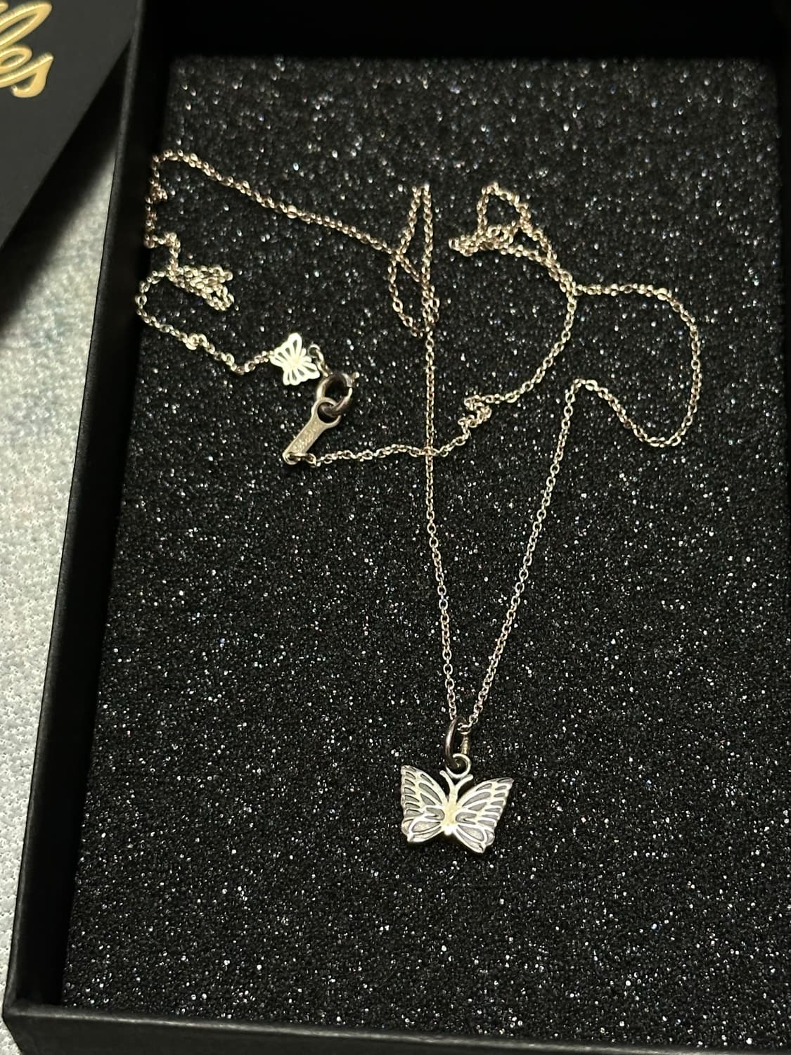 니들스(Needles) 빠삐용 실버 목걸이 (Silver 925) 상품이미지2