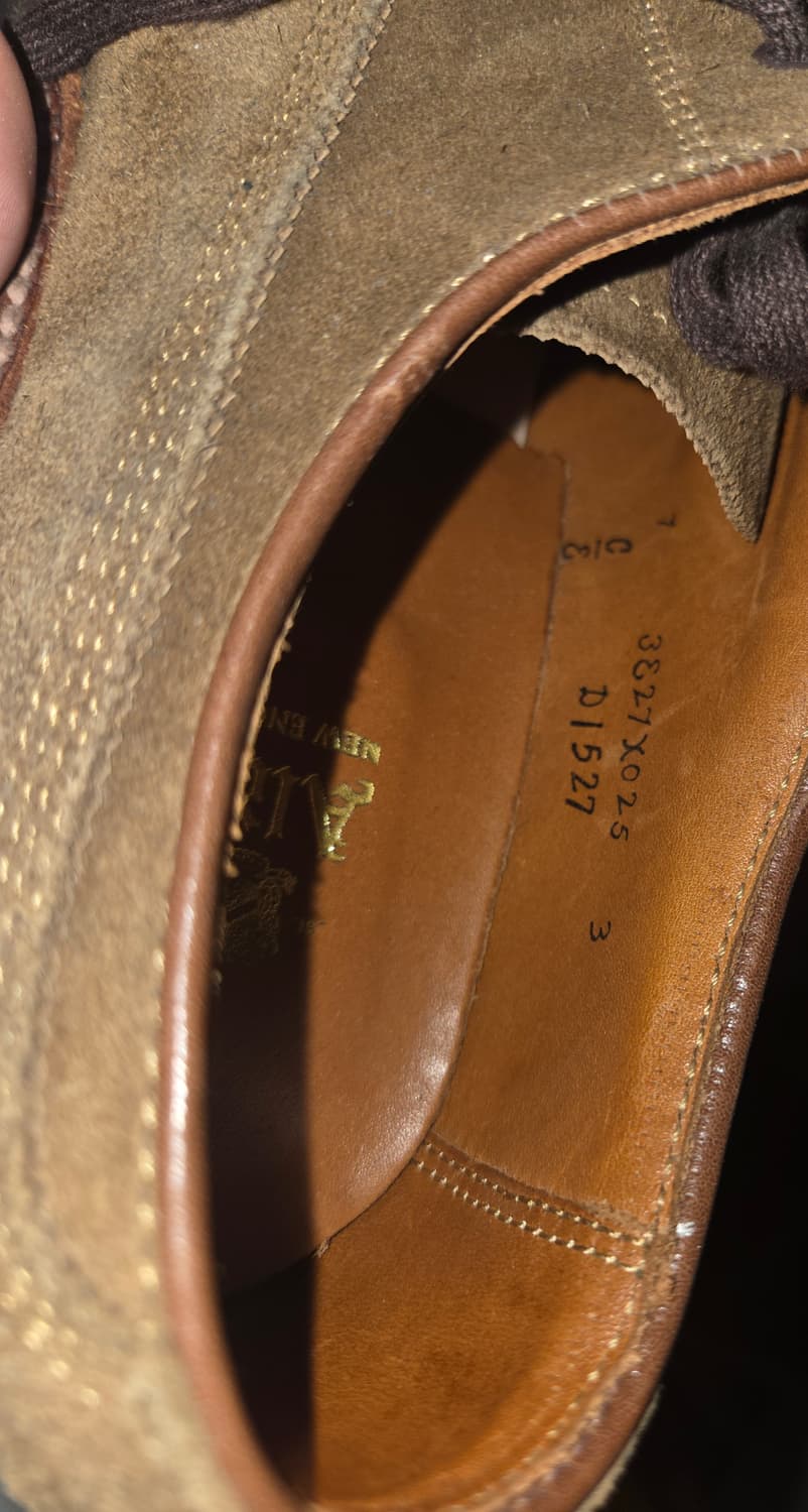 알든 D1527 스너프 스웨이드 캡토 블러처 7E 상품이미지5