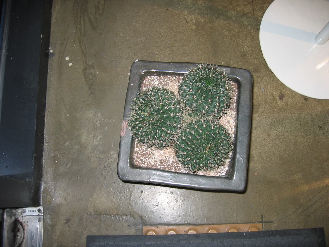 New배터리)캐논 익시디지털500(익서스500) 빈티지디카 상품이미지10