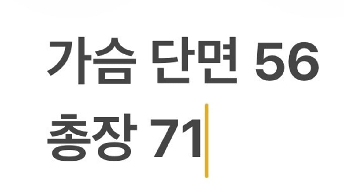 [정품/XXL] 타이틀리스트 화이트 패딩 조끼 b15 상품이미지9