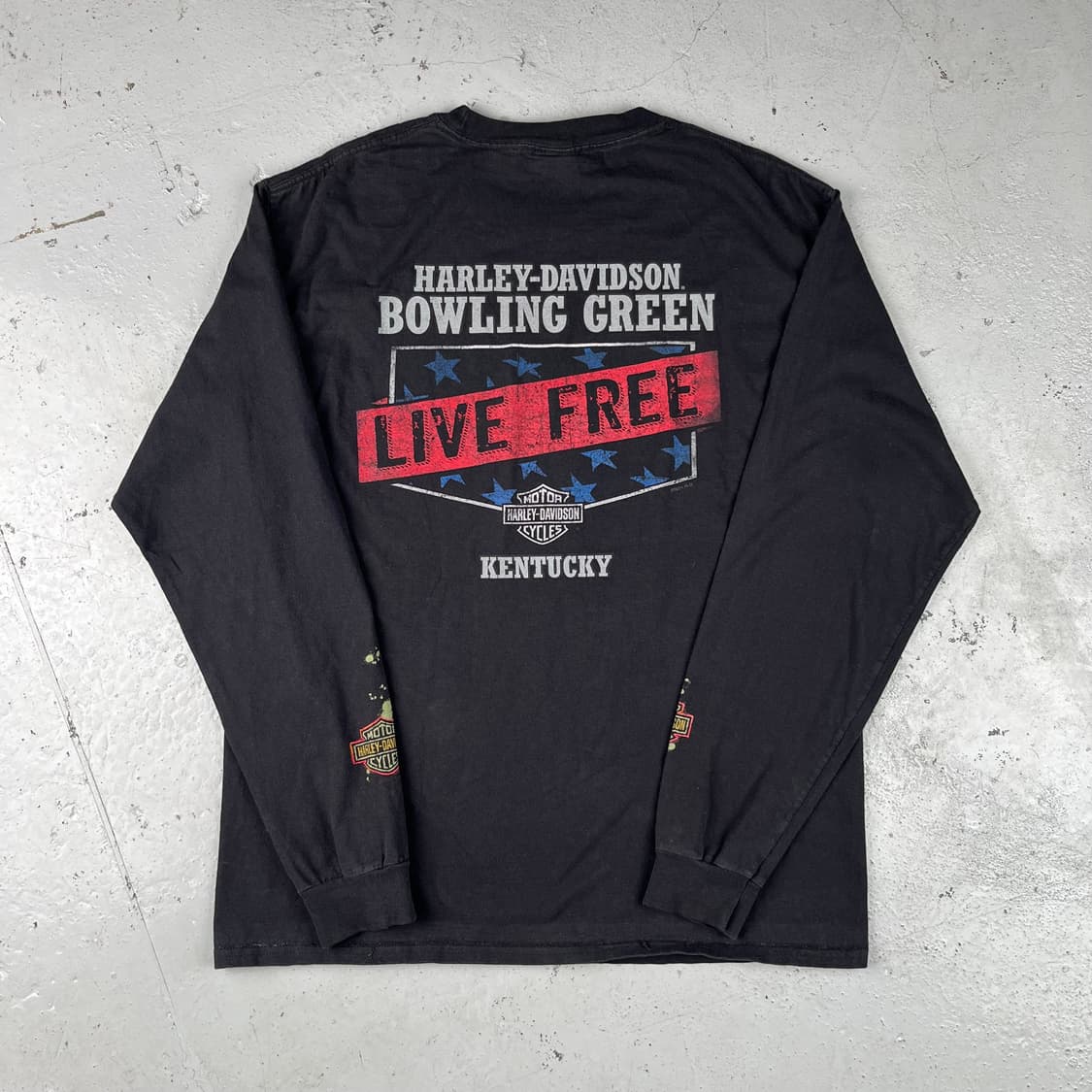 할리데이비슨 스컬 윙 포이즌 롱슬리브 상품이미지2