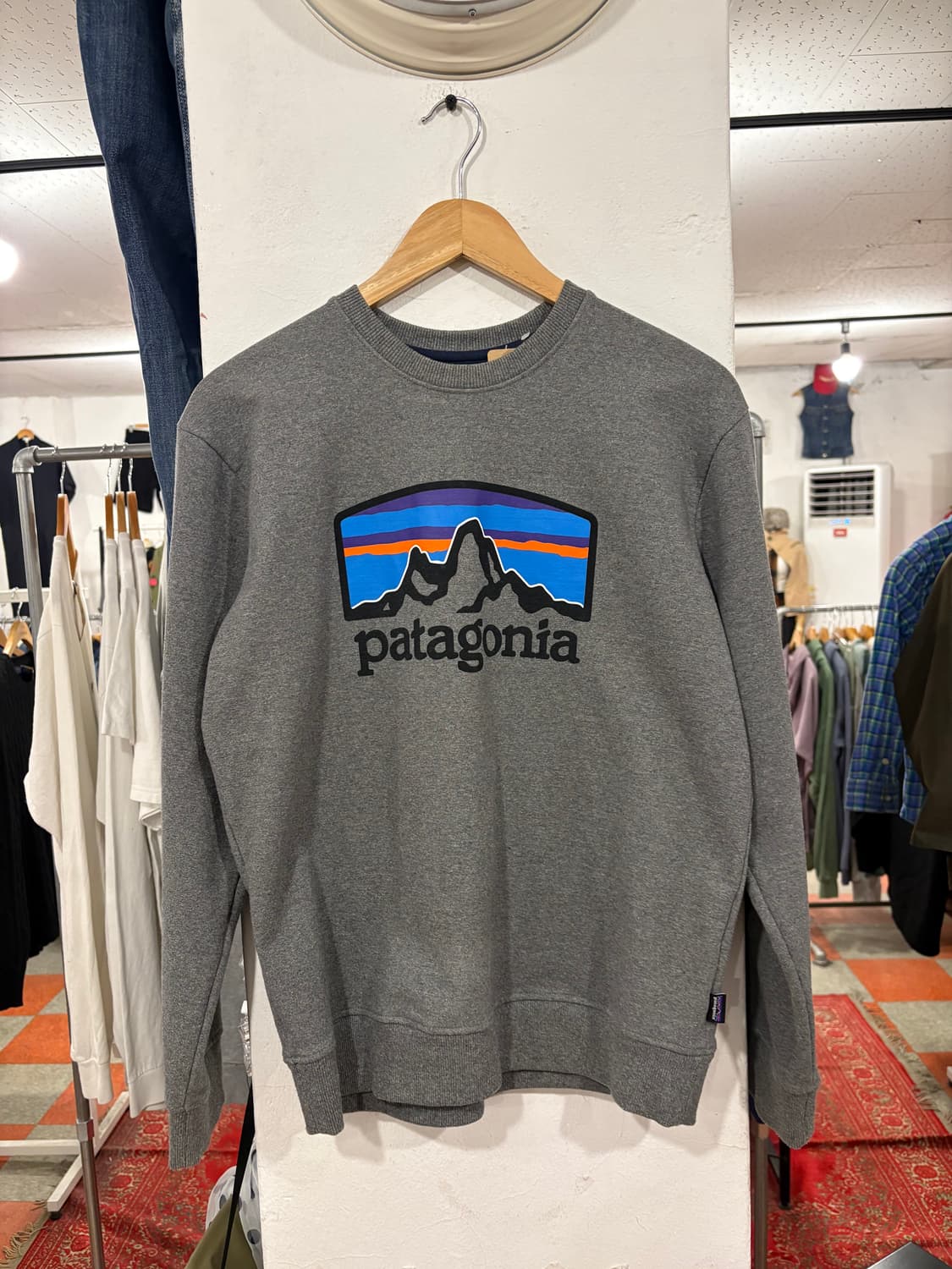 파타고니아 맨투맨 상품이미지1