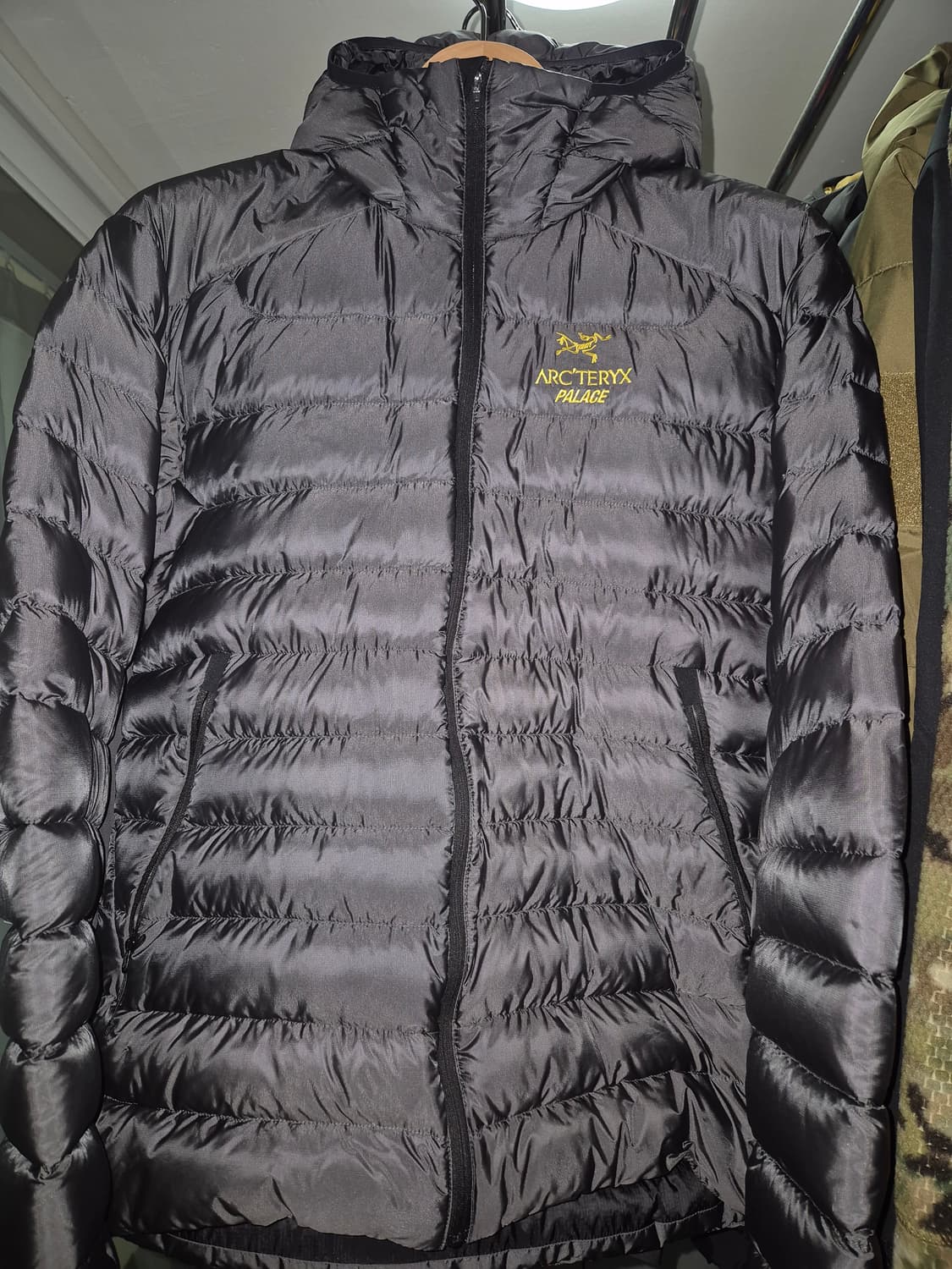 M) 아크테릭스 팔라스 세륨 lt 후디 상품이미지1