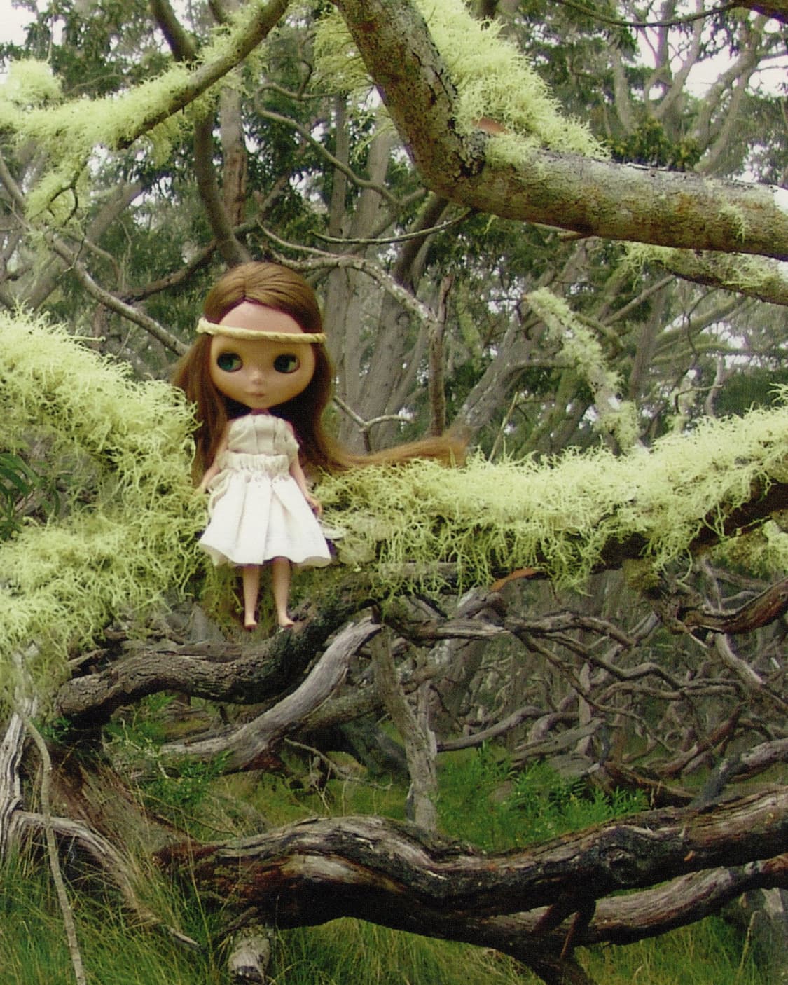 블라이스 아트북 NĀ WĀHINE ‘AULI‘I (2008) 희귀 사진집 상품이미지9