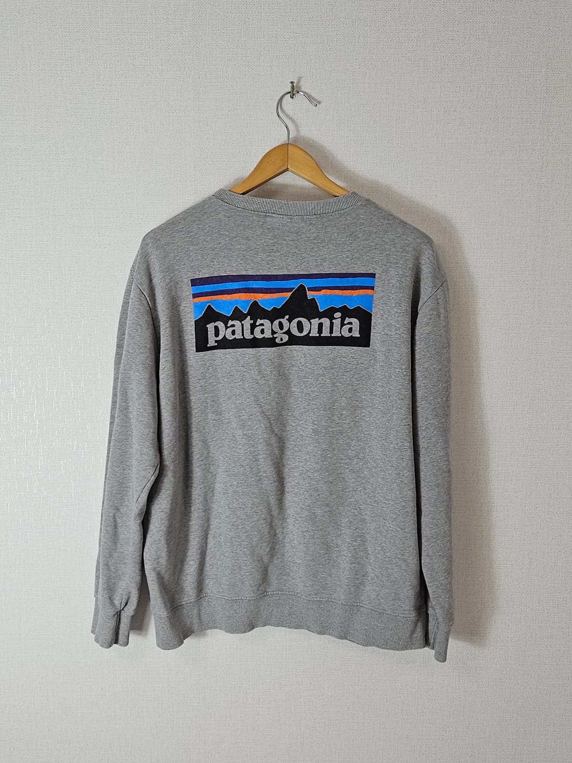 파타고니아 P6 백로고 맨투맨 스웻셔츠 테리 L 상품이미지1