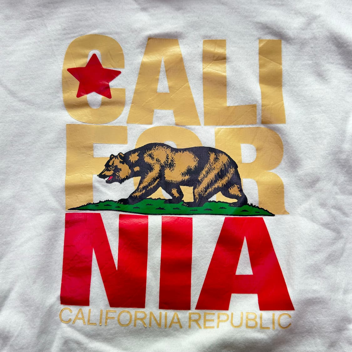 CALIFORNIA 그리즐리 프린트 후드티셔츠 XL 상품이미지2