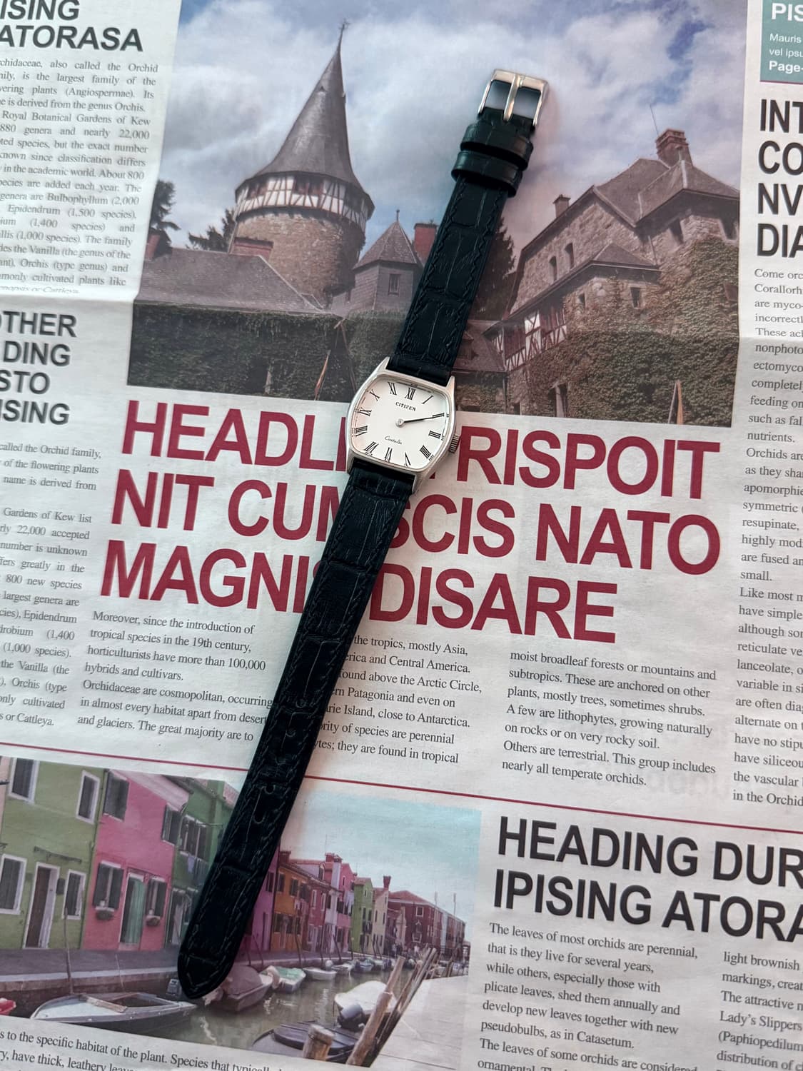 Citizen 시티즌 Castalia 로만 인덱스 상품이미지2