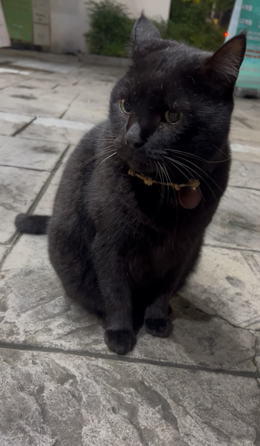 워드로브41 리버시블 백 상품이미지1