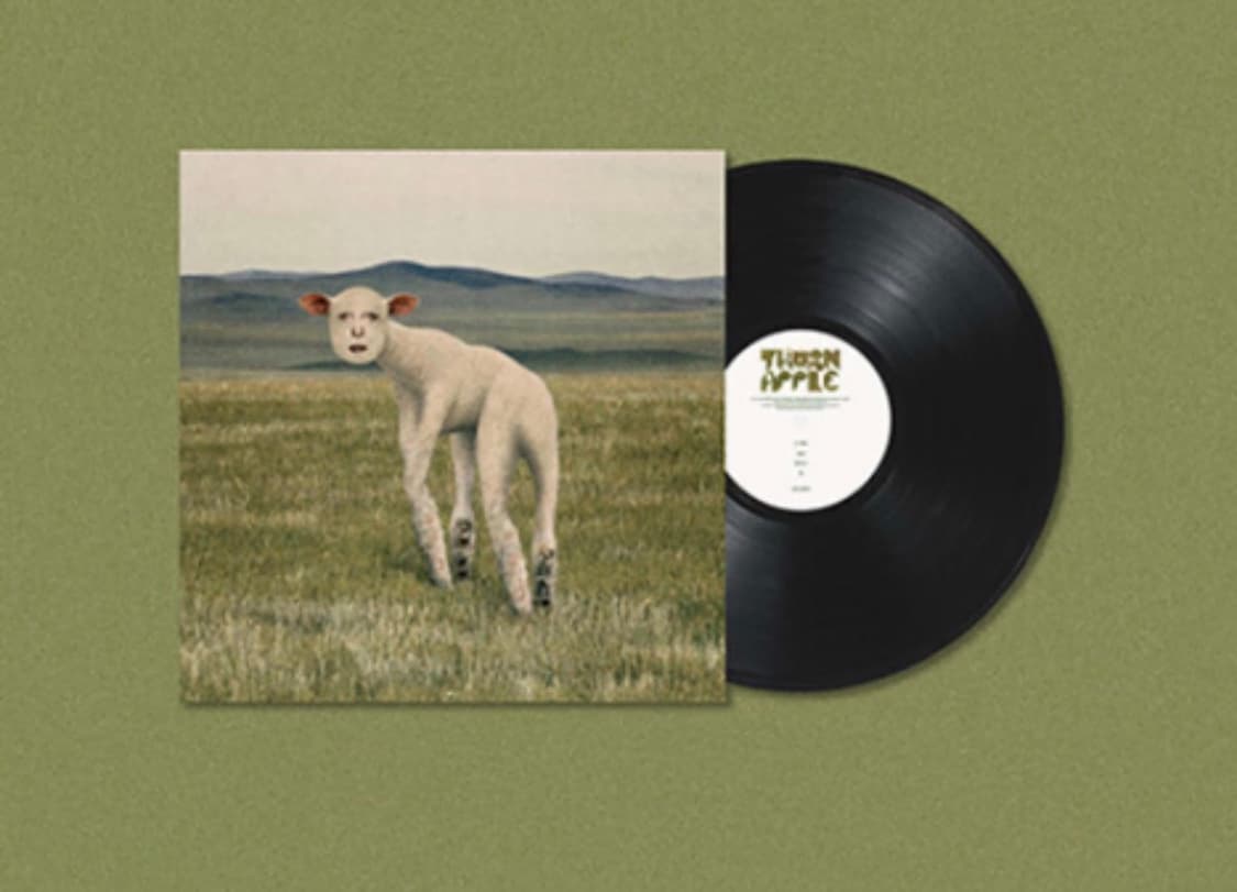 쏜애플 동물 LP 개봉 상품이미지1