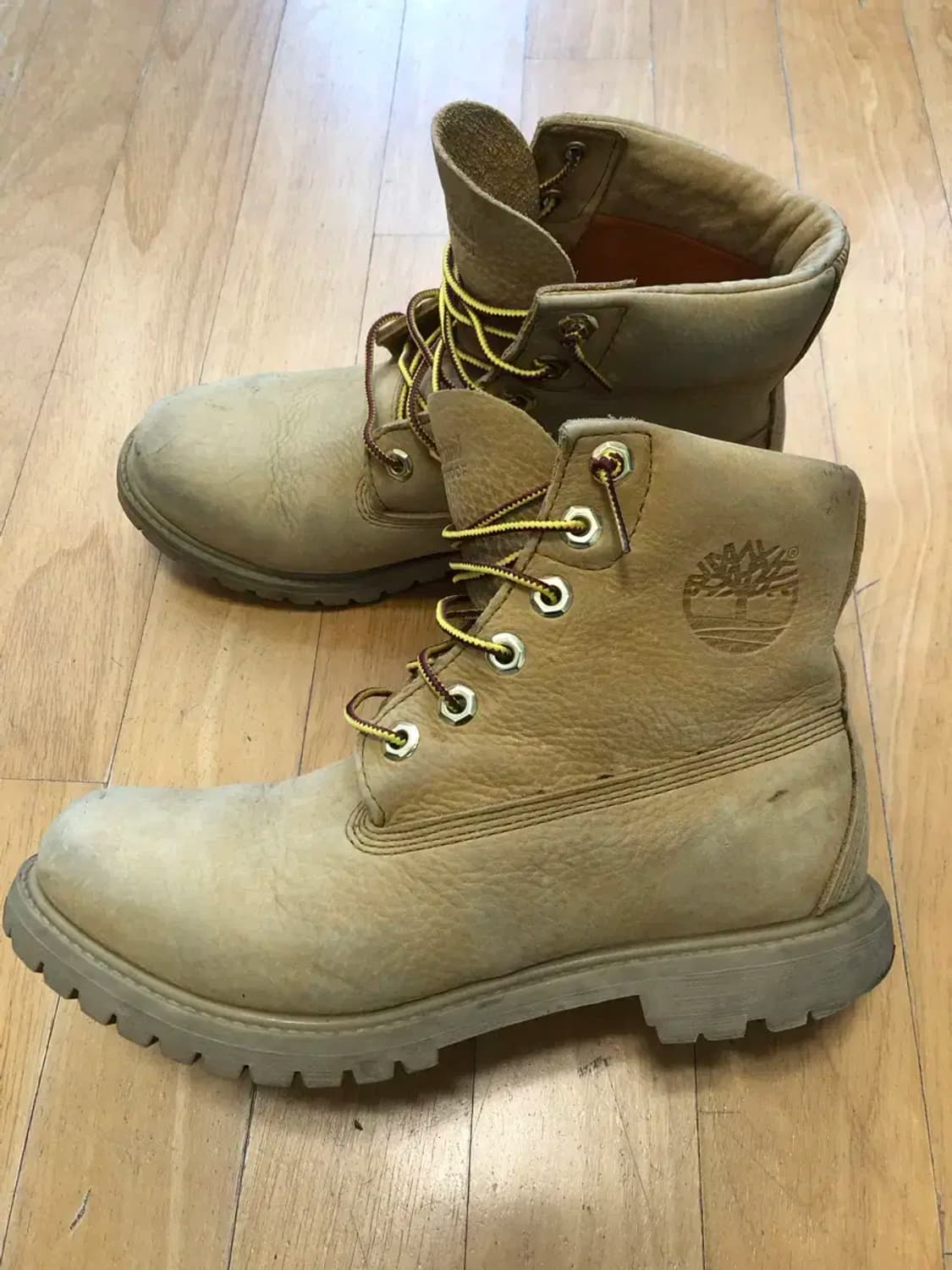 팀버랜드 우먼 파니나라 카라리스 부츠 6인치 255 상품이미지5