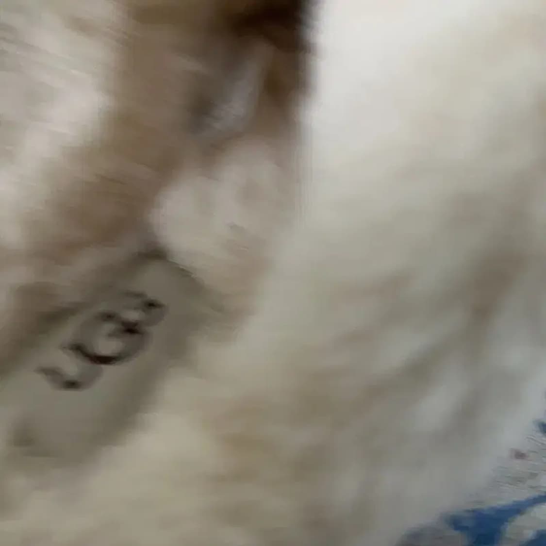 어그 UGG 스커페트 슬리퍼 250 E00818 상품이미지4