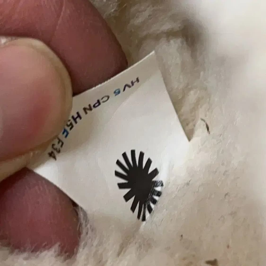 어그 UGG 스커페트 슬리퍼 250 E00818 상품이미지6