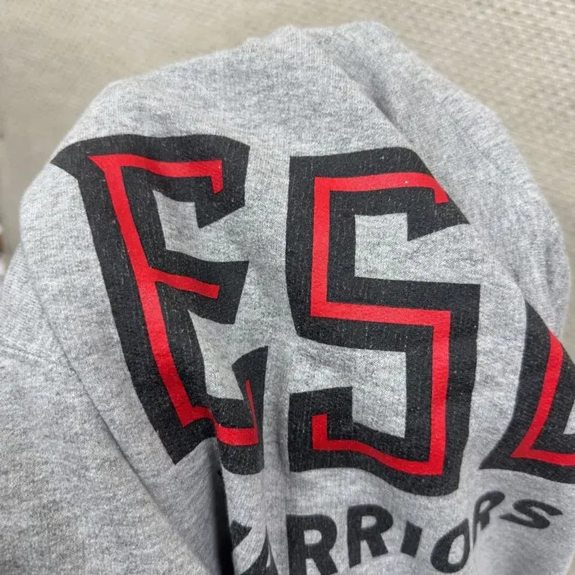 챔피온 어센틱 ESU 프린팅 후드티 L A02930 상품이미지5