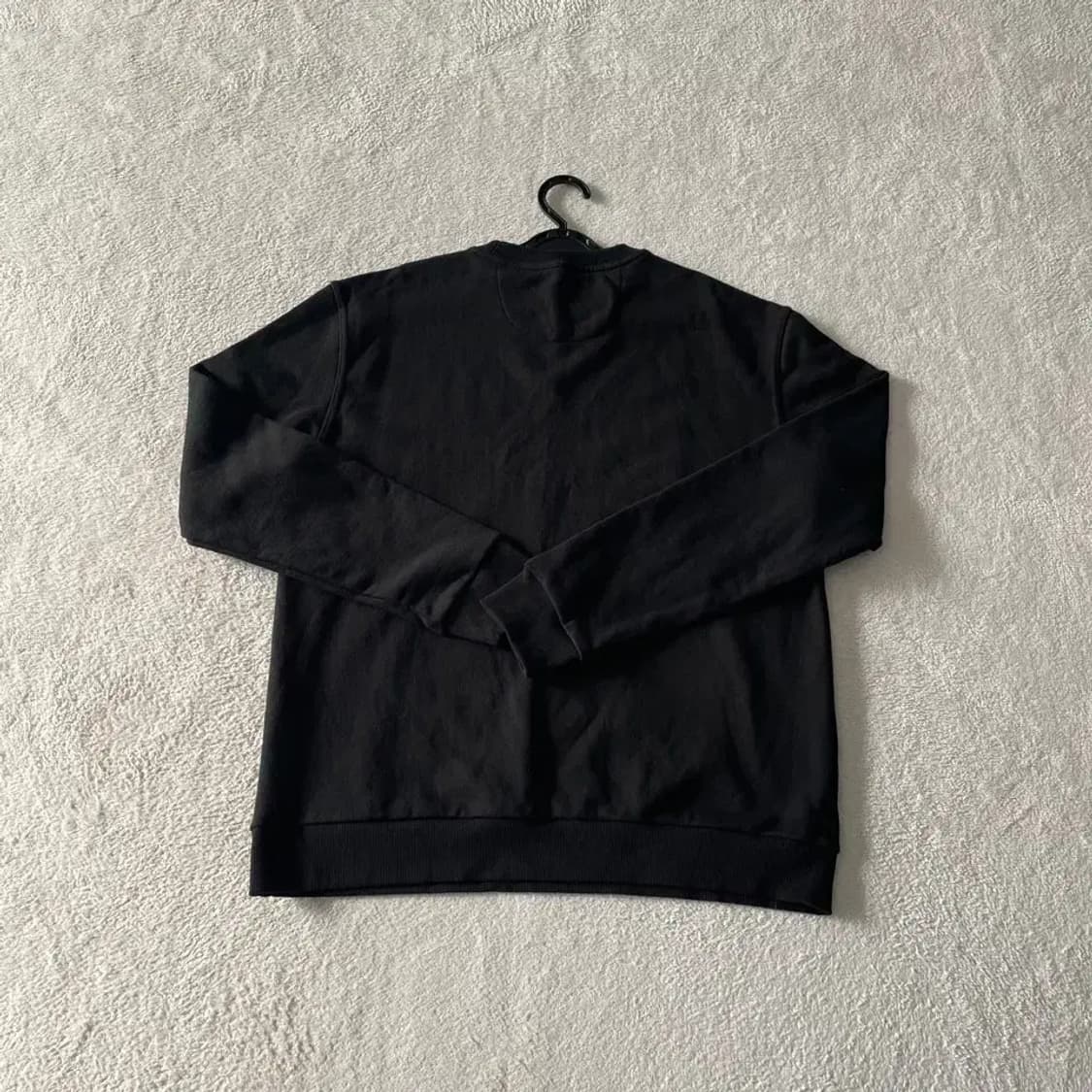 L 파타고니아 신형 리제너티브 오가닉 맨투맨 상품이미지8