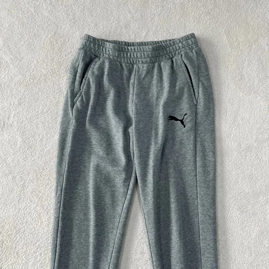 L 푸마 남성 트레이닝 바지 상품이미지2