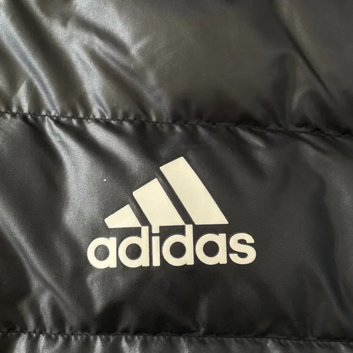 L 아디다스 남성 보스 패딩자켓 100 상품이미지5
