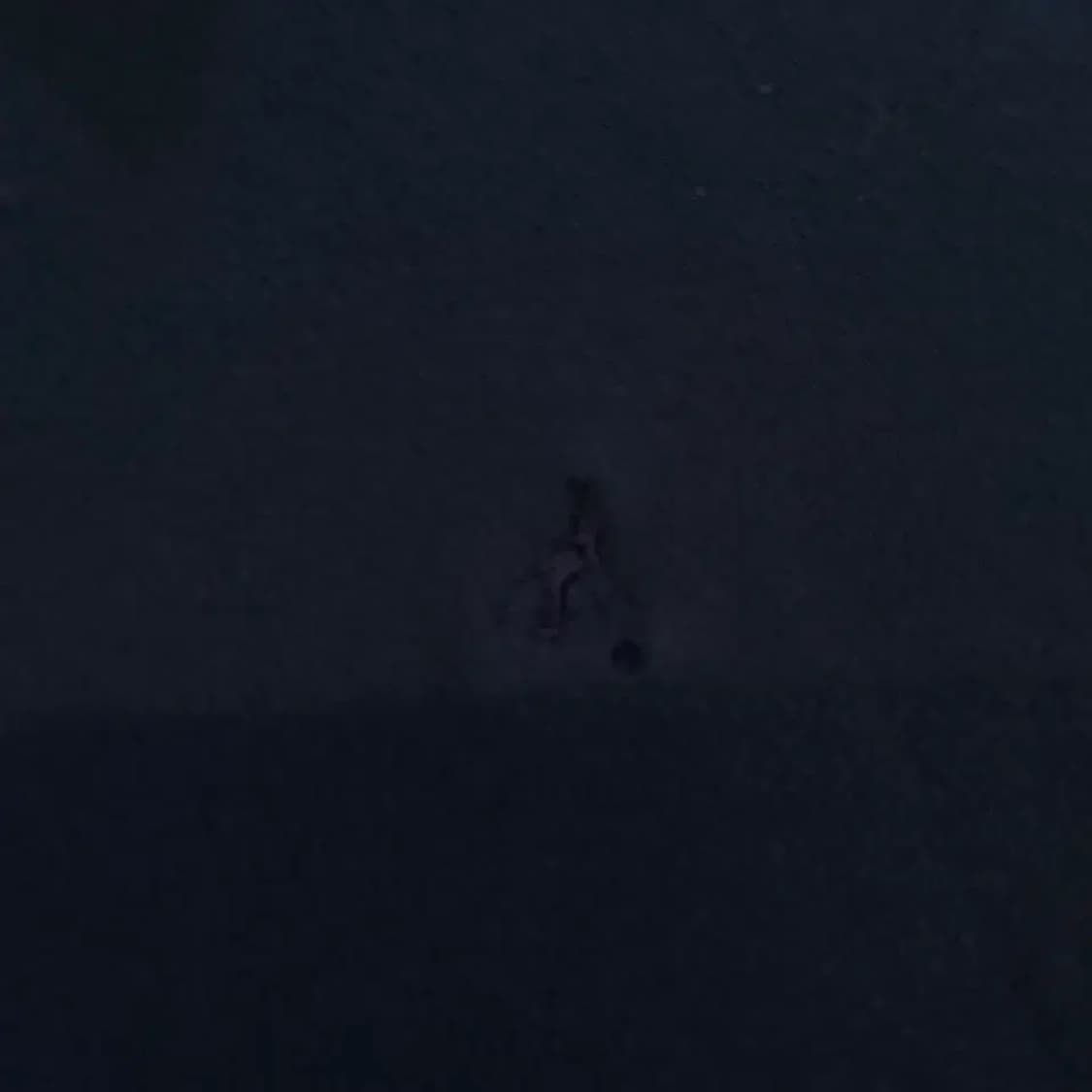 빈폴 2024 남성 신형 긴팔카라티 95 상품이미지5