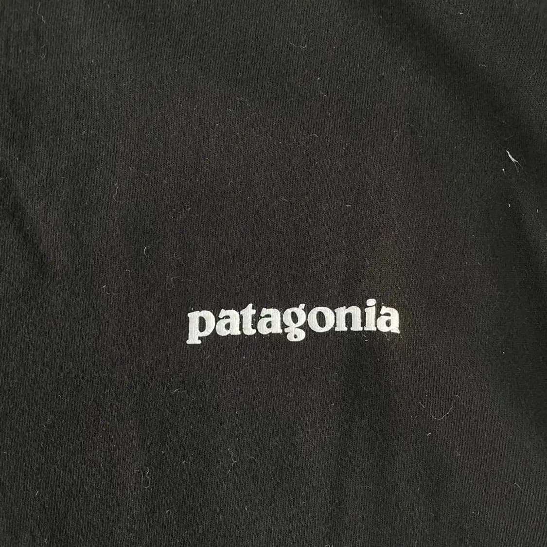 파타고니아 롱슬리브 긴팔 L 블랙 상품이미지5