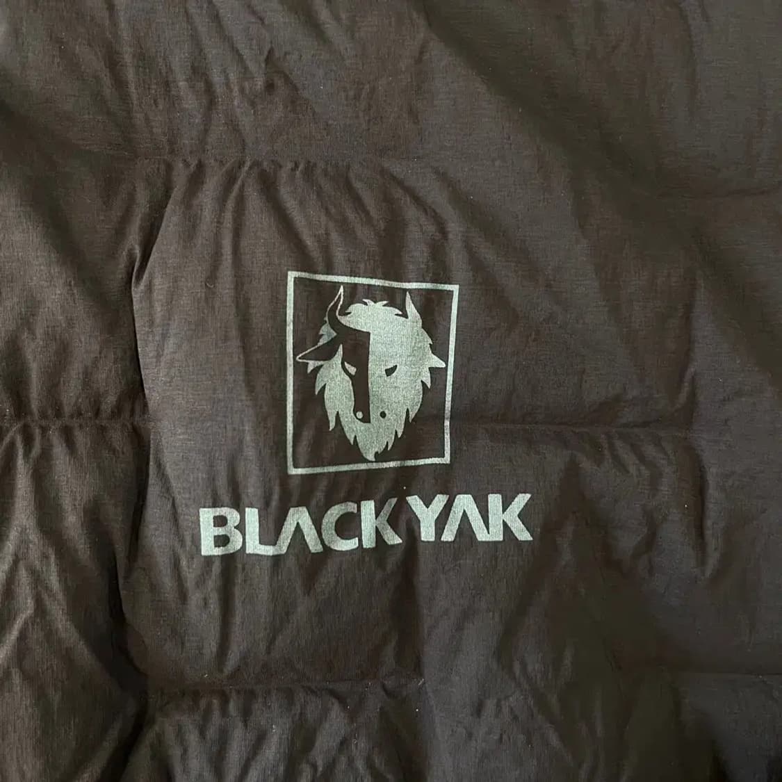 L 블랙야크 남성 구스 경량패딩 100 상품이미지3